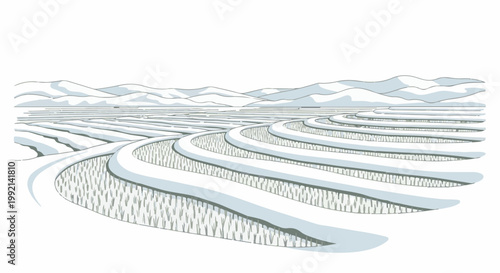 Terraced fields covered in snow, with mountains in the background