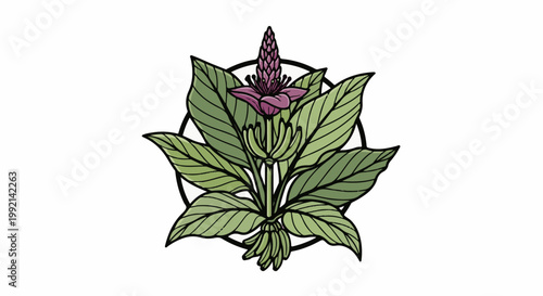 Vibrant purple bloom atop green leaves with tiny green bananas