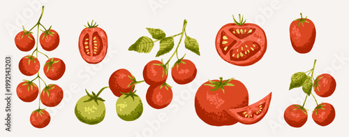 Tomato cherry set  in red and green color. Tasty vegetable whole and slice