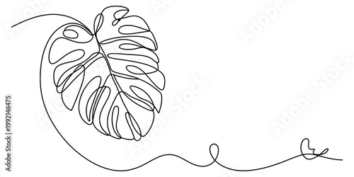 Continuous line drawing of a monstera leaf in a minimalist style on a white background. Vector, illustration