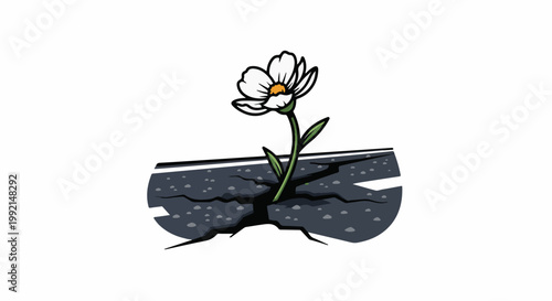 White flower sprouts through cracked pavement, symbolizing resilience and hope