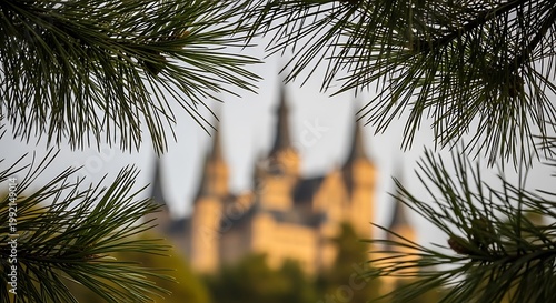 Blurred skyline of historic cathedral through tropical palm leaves in soft sunlight