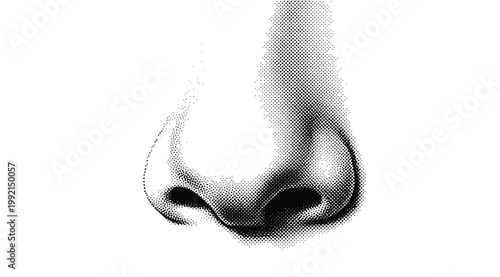 Close up of a human nose