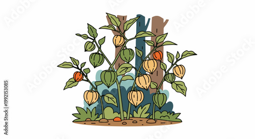 A whimsical illustration of physalis plants with lantern-like fruits amidst stylized trees