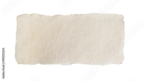 Obraz na plátně Isolated textured handmade paper piece with ragged torn edges and natural rustic