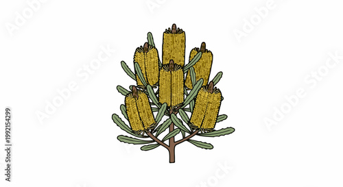 A stylized illustration of a flowering plant with multiple yellow cylindrical blooms