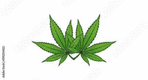 A stylized, symmetrical arrangement of bright green cannabis leaves with detailed veins, isolated on a white background