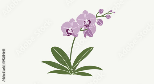 A stylized illustration of a purple orchid plant with green leaves on a pale background