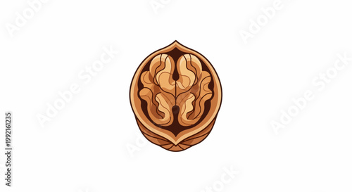 A stylized graphic of a halved walnut, showing its intricate, brain-like kernel, against a white background