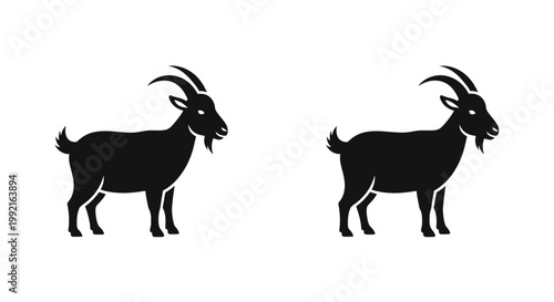 Two black goats standing side by side.