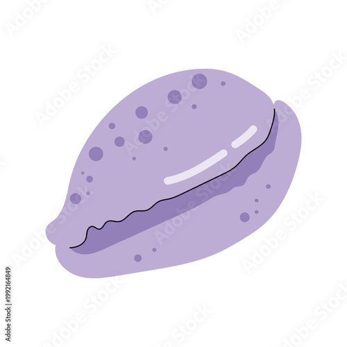 Purple oval cowrie seashell cartoon vector icon on white background
