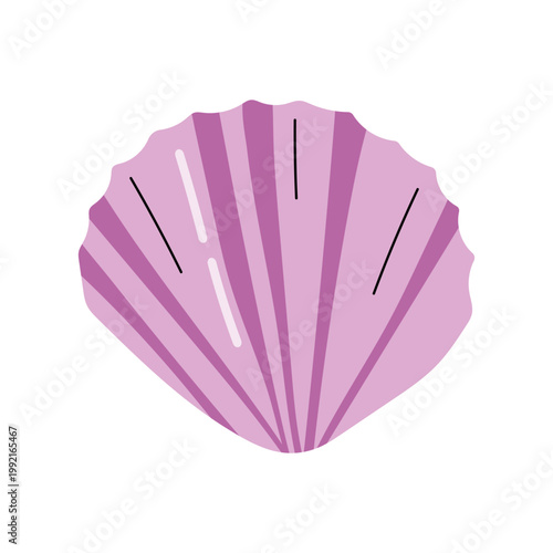 Canvas Print Purple fan shaped scallop shell cartoon illustration on white background