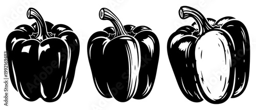 Bell Pepper Vegetable Set, Fresh Capsicum and Paprika Engraved Illustration, Healthy Organic Food Vector