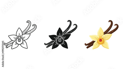 Vanilla flower bean spice vector icon set - Editable line icons. Vector illustration - Glyph and solid icon set - Icon vector