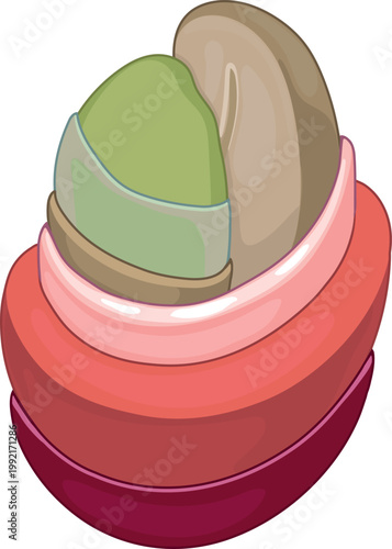 Anatomy of a coffee cherry (Coffea Arabica) showing internal structure and layers. Dimensional botanical illustration of coffee bean, pulp and skin