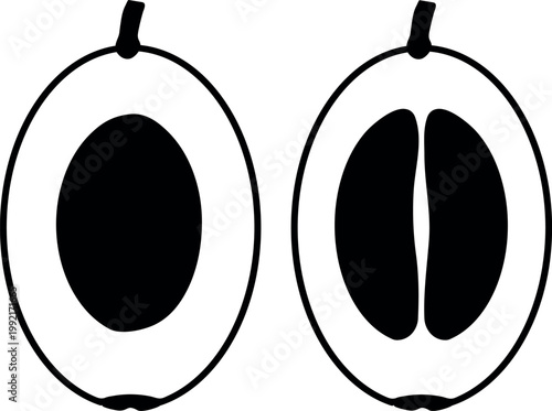 Black and white vector illustration of coffee cherry cross section. Peaberry vs normal bean icon set (Coffea Arabica)