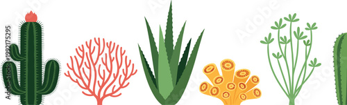 Desert Plants Vector Set with Cactus Aloe Succulent Coral Bush and Botanical Nature Illustration Collection