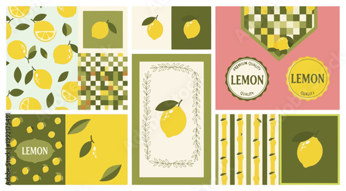 Set of lemon patterns and labels with citrus fruits and leaves