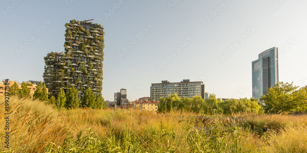 Fototapeta premium Milan, Italy - August 16, 2025: The skyscrapers of Porta Nuova, including the Bosco Verticale and Maire Tecnimont building, rise above the wild grasses of the Biblioteca degli Alberi park.