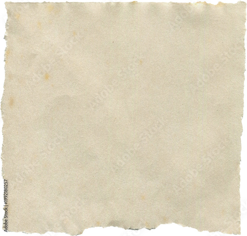 Torn Paper Scrap with Stains