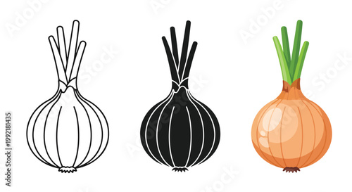 three onion types flat icon set - Editable line icons. Vector illustration - Glyph and solid icon set - Icon vector