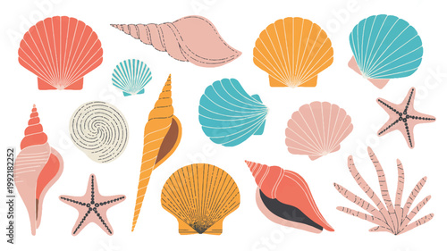 An illustration showcases various seashells and starfish on a surface.