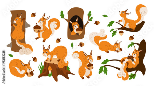 Squirrel. Animal climbing in tree. Cute character woodland. Rodent jumping nut. Children forest playful pet. Cartoon mascot in different poses. Vector drawing tidy flat style isolated illustration set