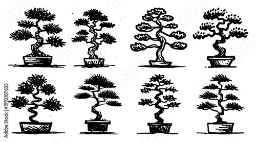 Japanese Bonsai Trees Collection in Pots, Zen Nature Miniature Plants Set, Hand Drawn Oriental Garden Elements