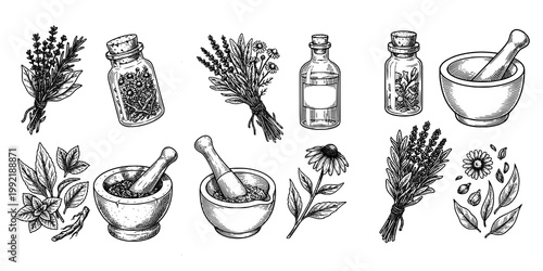 Herbal Medicine Objects Engraving Collection