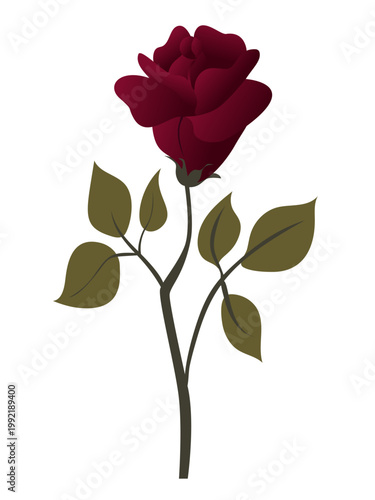 Single red rose flower with stem and leaves romantic botanical icon isolated on white for valentines wedding and decor