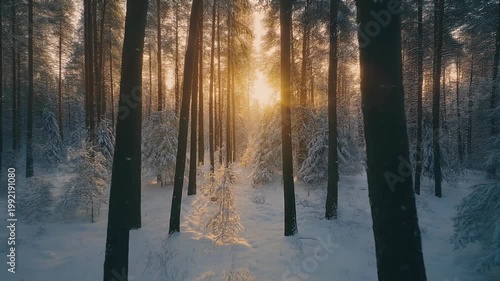 Winter's embrace, a silent, frosted expanse.