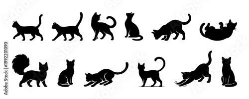 Cat silhouette set, black feline poses collection with walking sitting stretching playing grooming cats vector