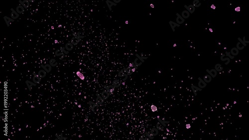 Flying Rose Flower Flakes overlays