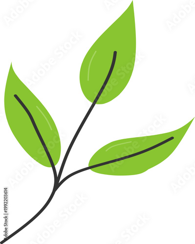 Japanese Matcha and Green Tea Ceremony Decoration Illustration