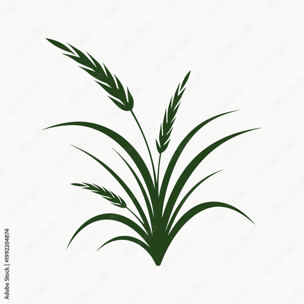 Fototapeta premium Fresh green rosemary sprig and herbal leaves isolated on a white background representing nature and growth