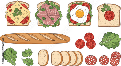 Sandwich Ingredients and Bread Vector Illustration Featuring Toast with Cheese Ham Egg Tomato Lettuce Baguette Slices and Toppings for Healthy Food Design