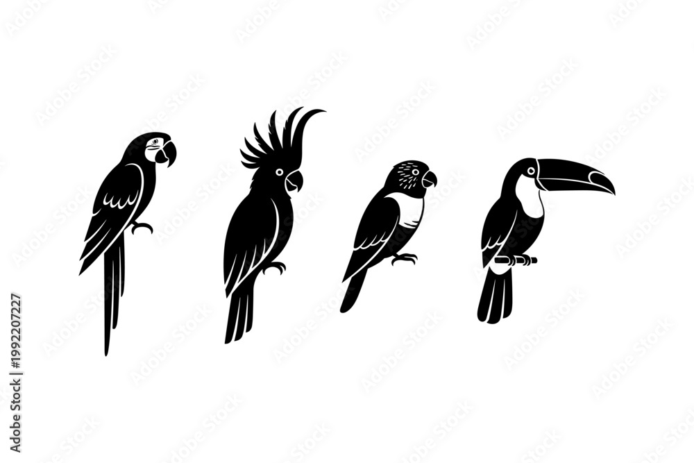 Fototapeta premium Stylized Bird Illustrations