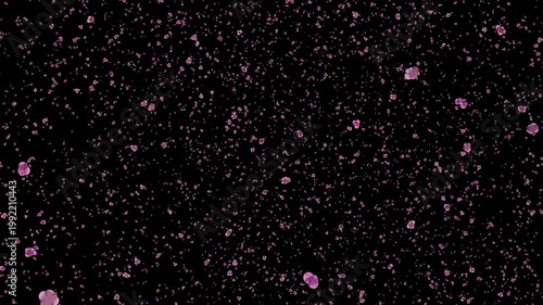 Flying Rose Flower Flakes overlays