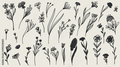 Set of beautiful flowers in vector.