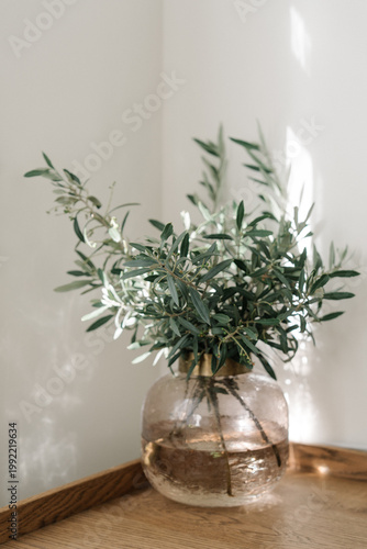 fresh olive tree branches in a glass jar. Aesthetic minimal interior decoration