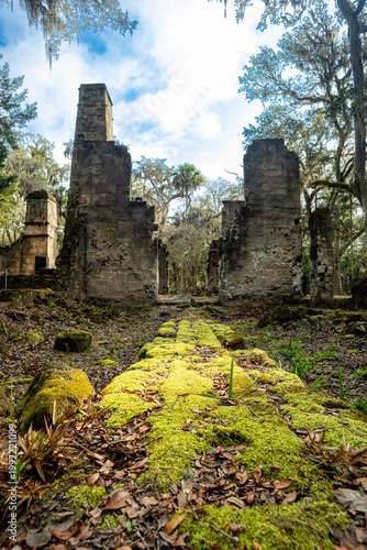 The ruins of Bulow Plantation, an early American sugan and indigo plantation in Florida, USA.