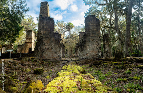 The ruins of Bulow Plantation, an early American sugan and indigo plantation in Florida, USA.