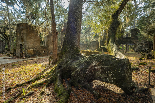 The ruins of Bulow Plantation, an early American sugan and indigo plantation in Florida, USA.
