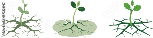 Green Plant Seedling Growing from Cracked Earth Ground Three Growth Stages Set Flat Vector Illustration Isolated White Background, Resilience Ecology Sustainability Nature Concept