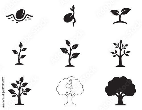 Black and white illustrations of plants and trees in various stages of growth