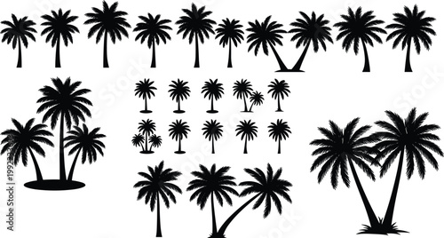 Tropical palm tree silhouette collection set for summer beach travel vacation exotic island nature and landscape,