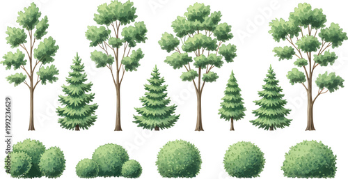 Set of Hand Drawn Vector Trees and Bushes for Landscape Design and Architectural Visualization Isolated on White