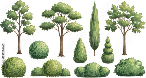 Set of Hand Drawn Garden Trees and Decorative Bushes for Landscape Architecture and Architectural Visualization Projects