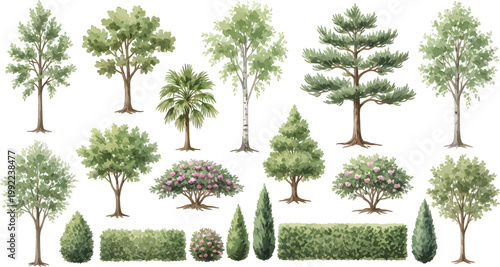 Set of Hand Drawn Watercolor Style Trees and Garden Hedges Isolated on White Background for Landscape Design