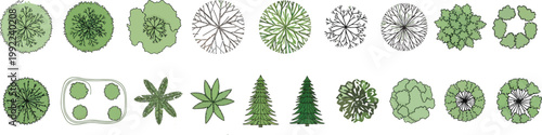 Set of Hand Drawn Architectural Tree Symbols for Landscape Design Plans and Top View Site Mapping